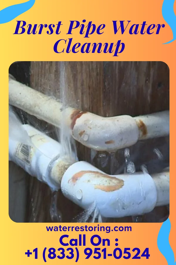 Burst Pipe Water Cleanup in Russiaville, IN