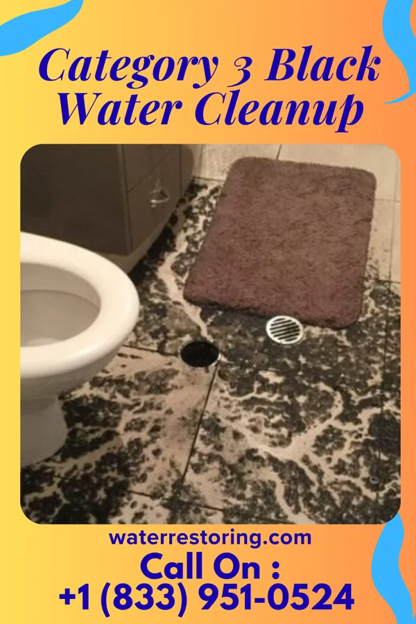 Category 3 Black Water Cleanup in Russiaville, IN