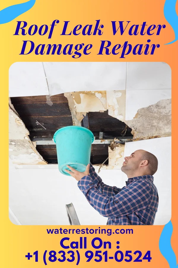 Roof Leak Water Damage Repair in Russiaville, IN