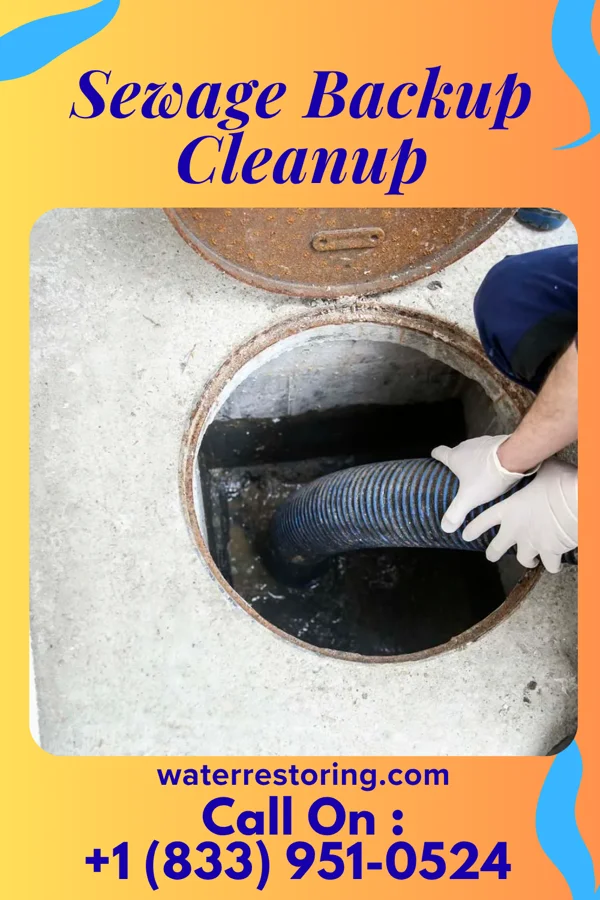 Sewage Backup Cleanup in Russiaville, IN