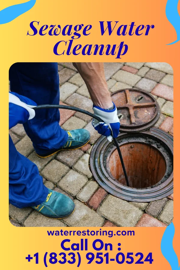 Sewage Water Cleanup in Russiaville, IN